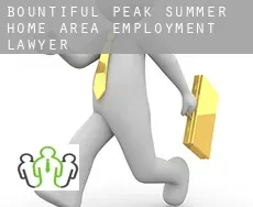 Bountiful Peak Summer Home Area  employment lawyer