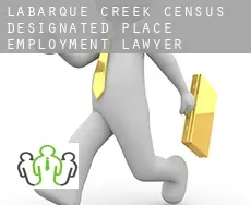 LaBarque Creek  employment lawyer