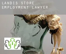 Landis Store  employment lawyer