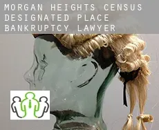 Morgan Heights  bankruptcy lawyer