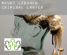 Mount Lebanon  criminal lawyer
