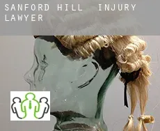 Sanford Hill  injury lawyer