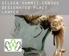 Silver Summit  lawyer