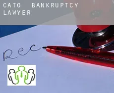 Cato  bankruptcy lawyer