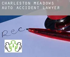 Charleston Meadows  auto accident lawyer