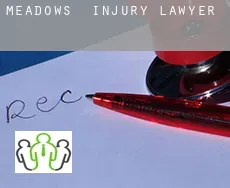 Meadows  injury lawyer