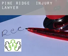 Pine Ridge injury lawyer