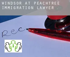 Windsor at Peachtree  immigration lawyer