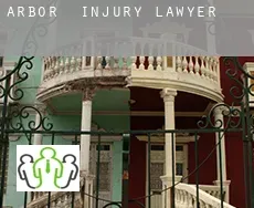 Arbor  injury lawyer