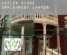 Cutler Ridge  employment lawyer