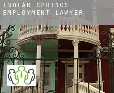 Indian Springs  employment lawyer