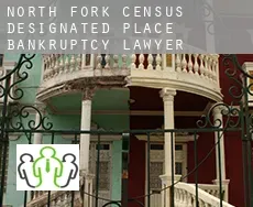 North Fork  bankruptcy lawyer