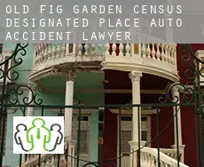 Old Fig Garden  auto accident lawyer