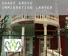 Shady Grove  immigration lawyer
