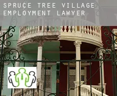 Spruce Tree Village  employment lawyer