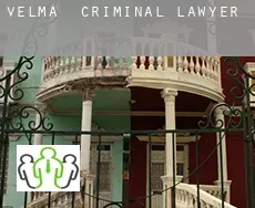 Velma  criminal lawyer