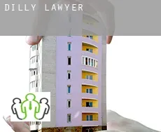 Dilly  lawyer