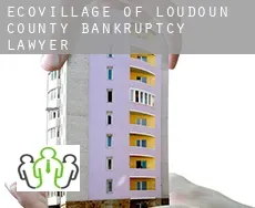 EcoVillage of Loudoun County  bankruptcy lawyer