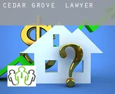 Cedar Grove  lawyer