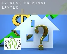 Cypress  criminal lawyer