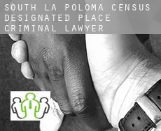 South La Poloma  criminal lawyer