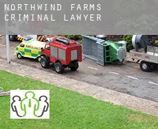 Northwind Farms  criminal lawyer