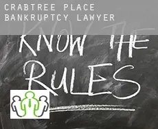 Crabtree Place  bankruptcy lawyer