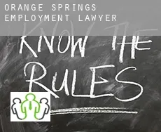 Orange Springs  employment lawyer