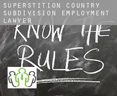 Superstition Country Subdivision  employment lawyer