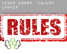 Cedar Swamp  injury lawyer