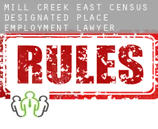 Mill Creek East  employment lawyer