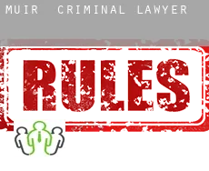 Muir  criminal lawyer
