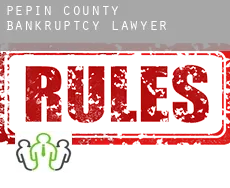 Pepin County bankruptcy lawyer