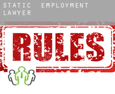 Static  employment lawyer