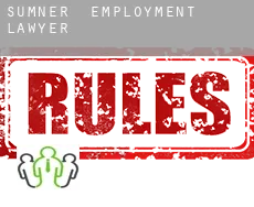 Sumner employment lawyer