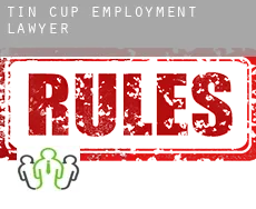 Tin Cup employment lawyer