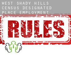 West Shady Hills  employment lawyer