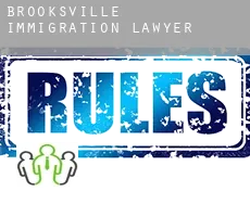 Brooksville  immigration lawyer