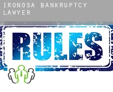 Ironosa  bankruptcy lawyer