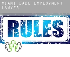 Miami-Dade County  employment lawyer