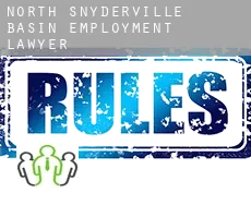 North Snyderville Basin  employment lawyer