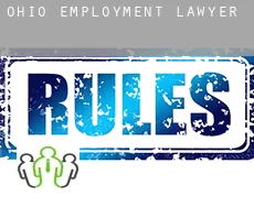 Ohio  employment lawyer