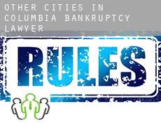 Other cities in Columbia  bankruptcy lawyer