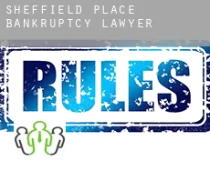 Sheffield Place  bankruptcy lawyer
