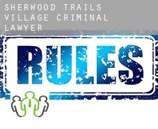 Sherwood Trails Village  criminal lawyer