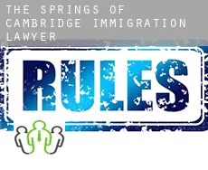 The Springs of Cambridge  immigration lawyer