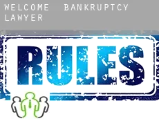 Welcome  bankruptcy lawyer