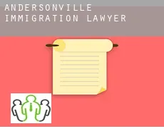 Andersonville  immigration lawyer