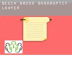 Beech Brook  bankruptcy lawyer