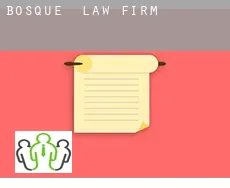 Bosque  law firm